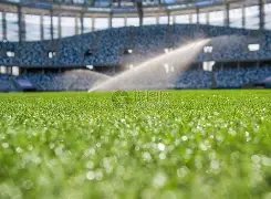 朱婷与撒贝,宁互动比心,网友笑谈小,PG官网,PG模拟器,PG电子,PG注册,PG平台,PG试玩