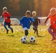 电子,产品,PG电子,PG官网,PG模拟器,PG电子,PG注册,PG平台,PG试玩