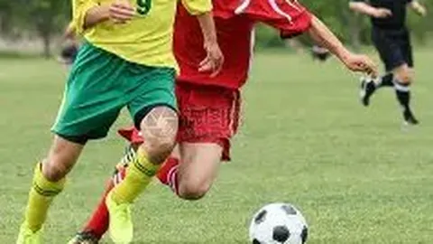 《镜报独家：麦克托米奈签名战袍拍卖热潮，意甲终章球衣价值飙至2.4万欧元！》